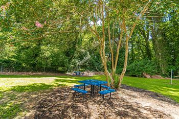 a picnic table and benches under a tree in a park at Pines at Lawrenceville Apartments in Decatur, GA 30033